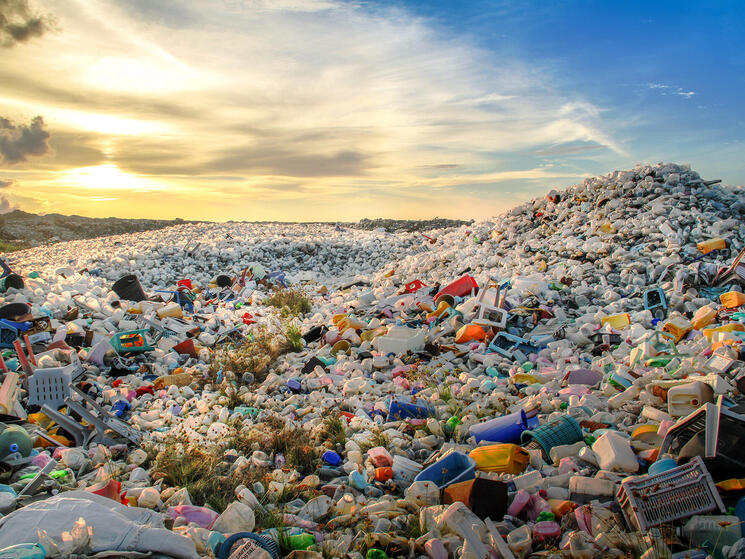 plastic-eating enzymes
