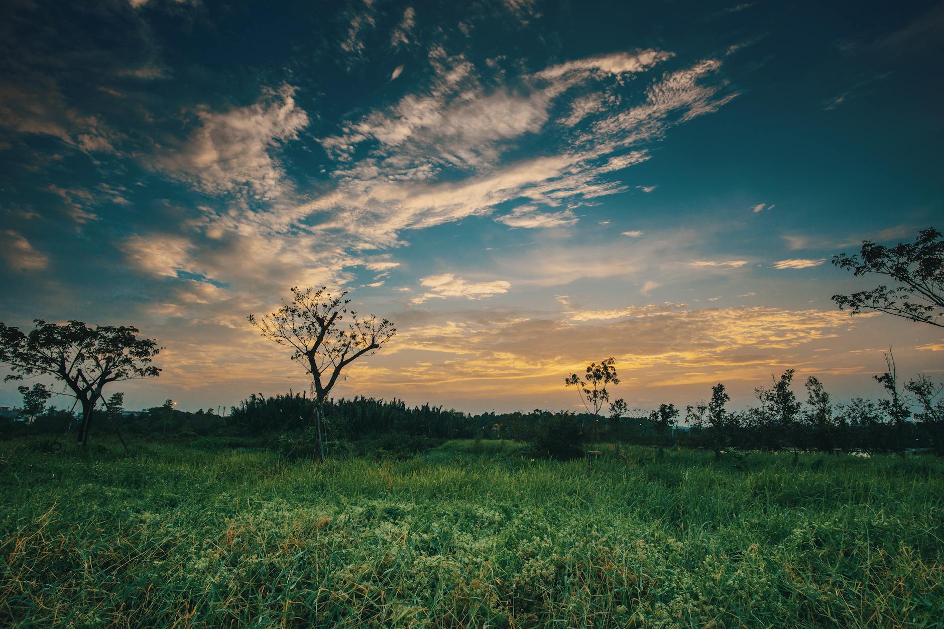 Grasslands and climate change