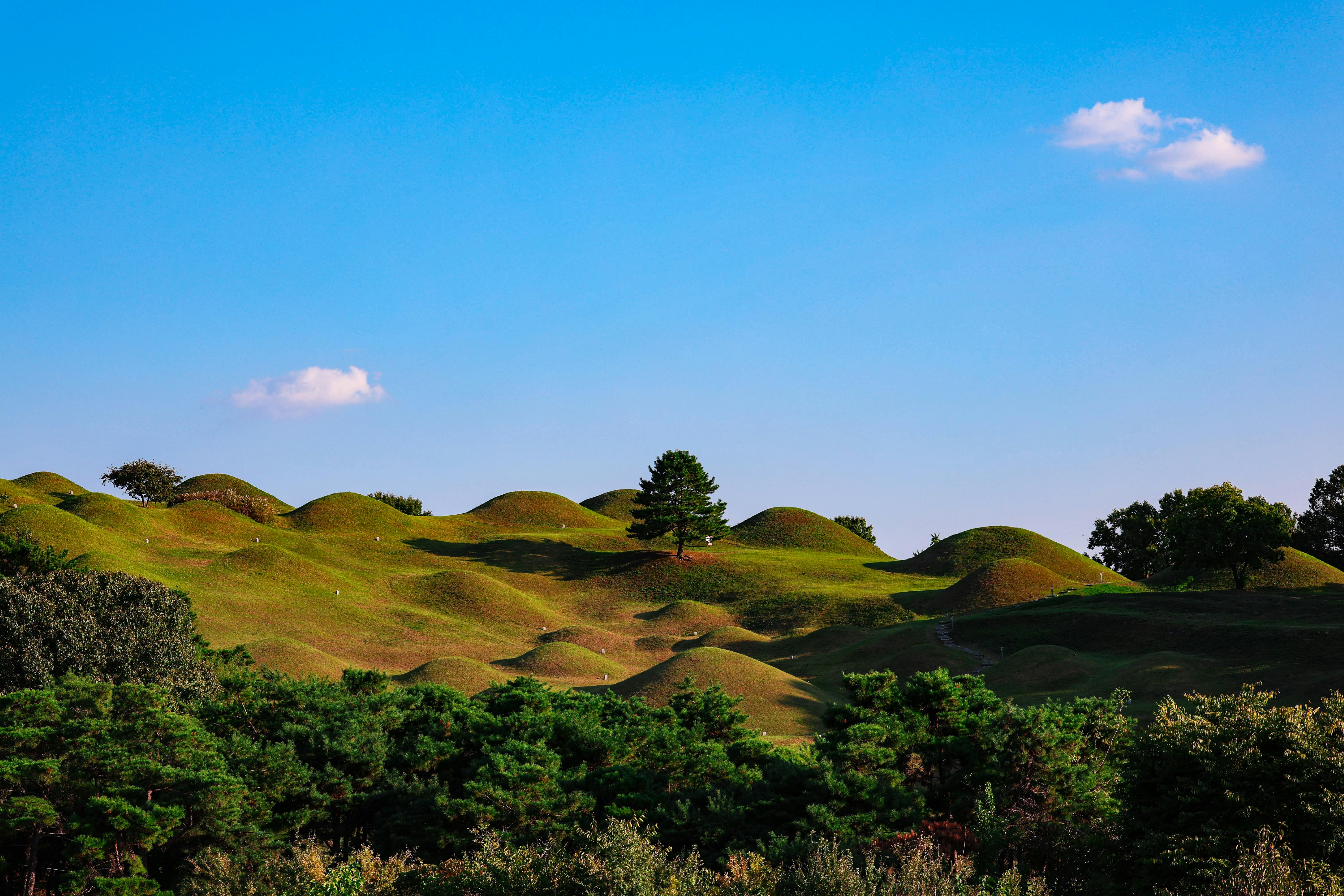 Grasslands and climate change